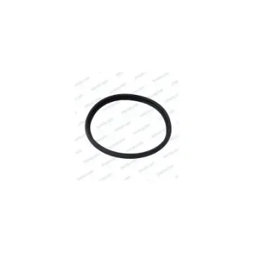 Lewmar - Rubber Gasket for Ocean S4 Hatch - L360382999 product image