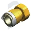 Whale - Bronze Adapter 3/8" BSP Female Thread - 075016 product image