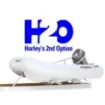 H2O Davit for Soft Ground 10" Mount - H2O-1016S10 product image