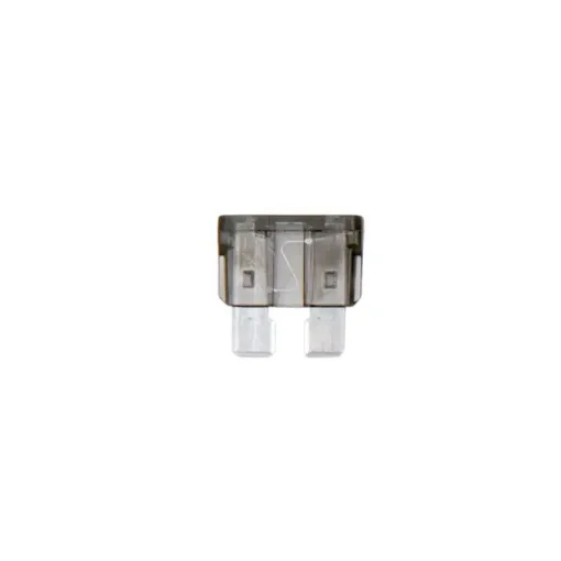 1A Plug Fuse for Electrical Protection - 0731001 product image