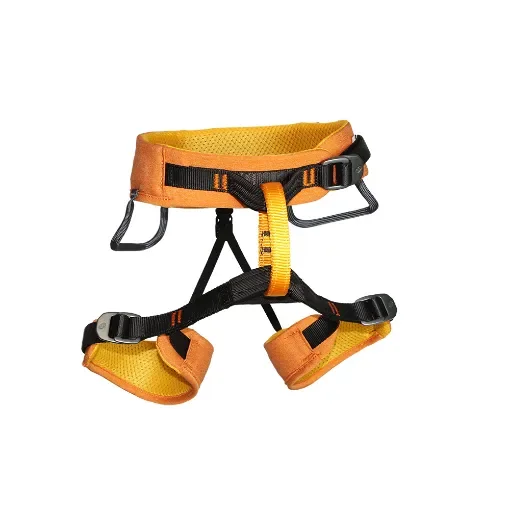 ARMBURY - PISCES UNI Harness for Young Climbers product image