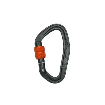 ARMBURY - ACE Screw Carabiner - 4131111 product image