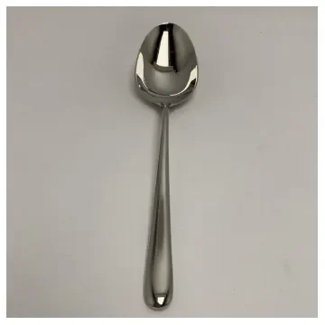 <p>Premium 18/10 Stainless Steel Marine Serving Spoon – Durable, Corrosion-Resistant, Easy to Clean</p> product image