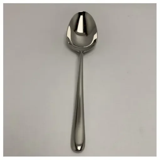 <p>Premium 18/10 Stainless Steel Marine Serving Spoon – Durable, Corrosion-Resistant, Easy to Clean</p> product image