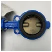 <div>Bernard High-Quality DN125 Marine Wafer Butterfly Valve with EPDM Liner and Bernard Controls 230V Actuator</div> product image