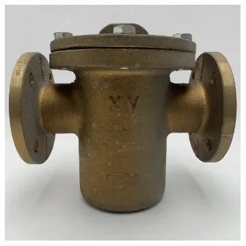 Marine Grade DN50 Bronze & AISI Stainless Steel Inline Sea Strainer Filter for Corrosion-Resistant Marine Applications product image