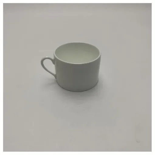 Richard Ginori Antinea Marine Bone China Tea Cup and Saucer product image