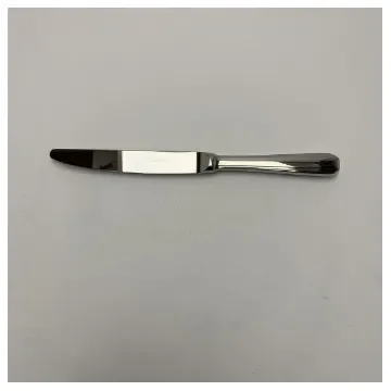 Christofle High-Quality Stainless Steel Madison Table Knife Set 24 87 012 product image