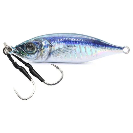 Divers - Jig Metal Adict 06 Slow Jigging - MA06-10-01 product image