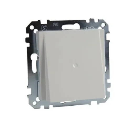 Schneider Electric White Cover Plate - MTN296819 product image