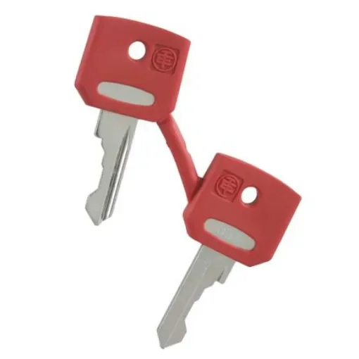 Schneider Electric Key for Reset Button - ZBGF034 product image