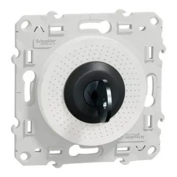 Schneider Electric IP21D Key Switch, 10A Straight-Key - S520286 product image