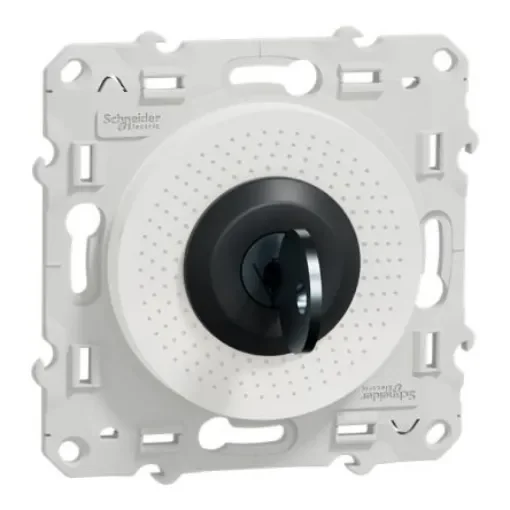 Schneider Electric IP21D Key Switch, 10A Straight-Key - S520286 product image