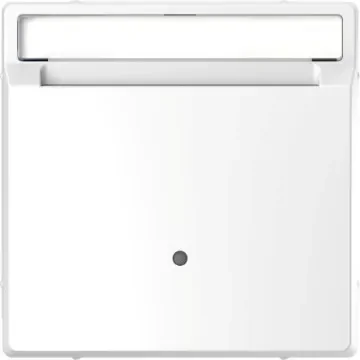 Schneider Electric White Cover Plate - MTN3854-6035 product image