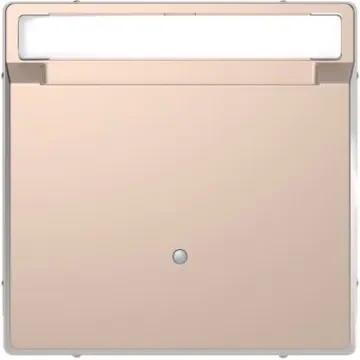 Schneider Electric Cover Plate - MTN3854-6051 product image