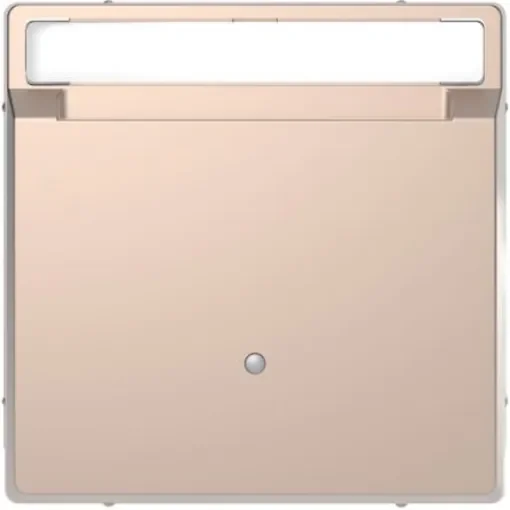 Schneider Electric Cover Plate - MTN3854-6051 product image