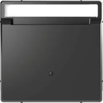 Schneider Electric Black Cover Plate - MTN3854-6034 product image