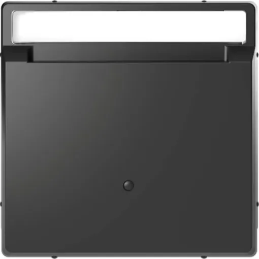 Schneider Electric Black Cover Plate - MTN3854-6034 product image