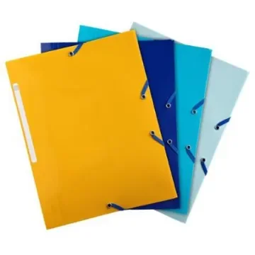 Exacompta Assorted A4 Presentation Folder - 55110E product image