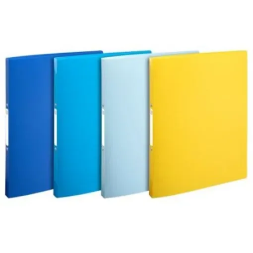 Exacompta Assorted A4 Ring Binder - 54110E product image