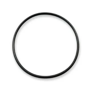 Pfannenberg O-Ring Gasket O-Ring - 28250220000 product image