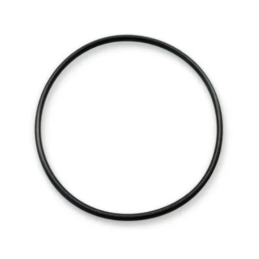 Pfannenberg O-Ring Gasket O-Ring - 28250220000 product image