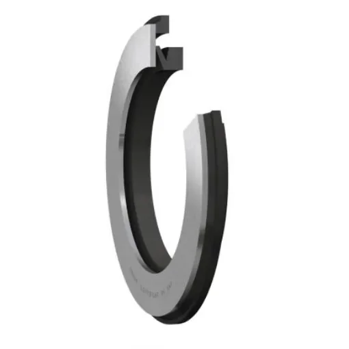 SKF TSN V Ring Seal For Use With Bearings, TSN 619 A product image
