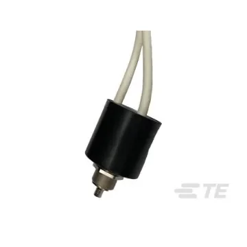 TE Connectivity K62A941 Series Electromechanical Interface Relay, Panel Mount, 115V Coil, SPST-NO, 1-Pole, 18A Load - 4-1618276-5 product image