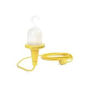 TE Connectivity PTFE GLS Incandescent Light Bulb, Clear, 120 V - 1301030064 product image