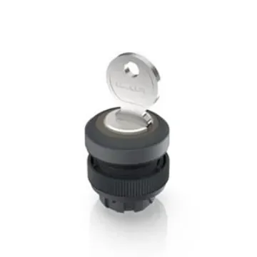 RAFI IP65 Key Switch 455-Way Tubular-Key - 1.30.245.101/0100 product image