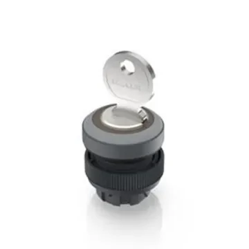 RAFI IP65 Key Switch 421-Way Tubular-Key - 1.30.245.323/0800 product image