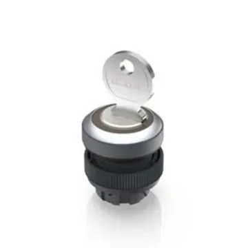 RAFI IP65 Key Switch 421-Way Tubular-Key - 1.30.245.524/0000 product image