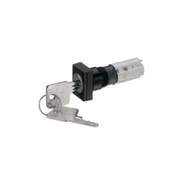 RAFI IP40 Key Switch 45-Way Tubular-Key - 1.15.108.572/0100 product image