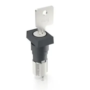 RAFI IP40 Key Switch 45-Way Tubular-Key - 1.15.108.632/0100 product image