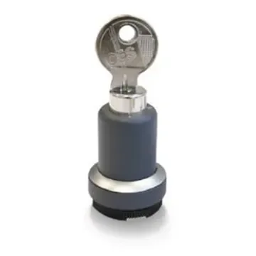 RAFI IP65 Key Switch 1-Way Straight-Key - 1.30.275.811/0000 product image