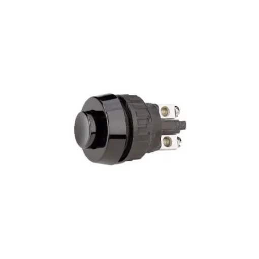 RAFI 1.10 Series Illuminated Push Button Switch, Momentary, Through Hole, 15.2mm Cutout, 1 NO, 250V, IP40, IP65 - 1.10.001.001/0104 product image