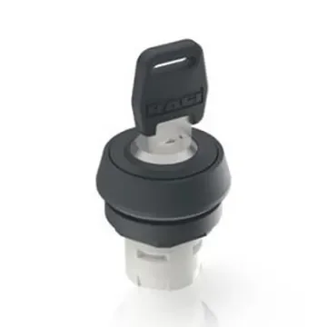 RAFI IP65 Key Switch Tubular-Key - 1.30.076.171/0000 product image