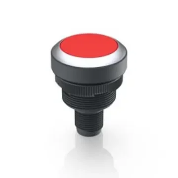 RAFI Push Button Switch for Use with Protective Cap - 1.10.011.001/0330 product image
