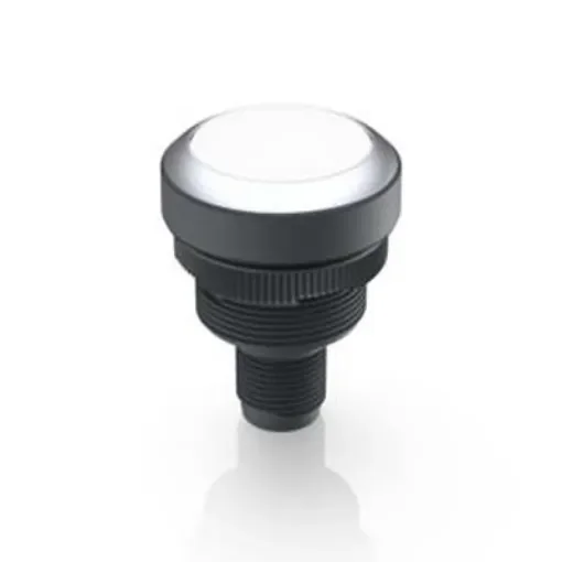 RAFI Push Button Switch for Use with Protective Cap - 1.10.011.001/0220 product image