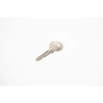 RAFI Switch Key for Locking SSG1 - 5.58.095.019/0000 product image