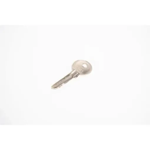 RAFI Switch Key for Locking SSG1 - 5.58.095.019/0000 product image