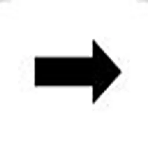 RAFI Labels for Use with Push Button And Lighting Indicator, Right Arrow - 5.70.097.023/1001 product image