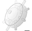 Osculati - Bow thruster protection - 02.050.18 product image