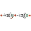 Osculati - Seacock 1&amp;quot;1/2 w/check valve - 17.319.11 product image
