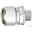 Osculati - WHALE 3/8&amp;quot; BSP male adapter - 17.815.83 product image
