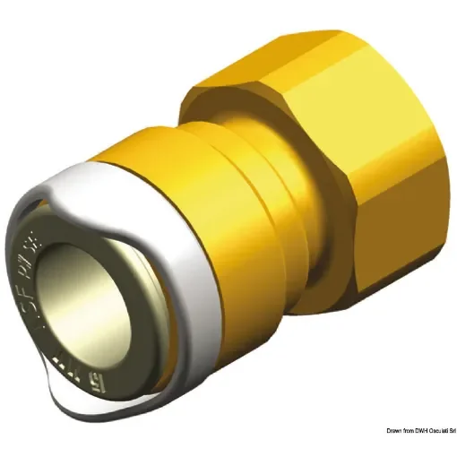 WHALE BSP 1/2" female adapter (brass) product image