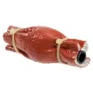 Osculati - Fuel block device, certified ISO 7840 - 20.250.02 product image
