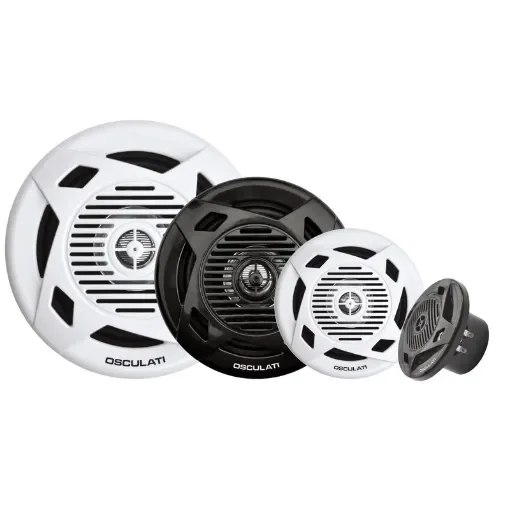 Pair of dual cone speakers product image