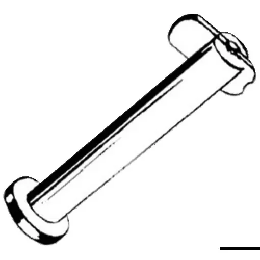 Osculati - SS drop nose pin 10 x 25mm - 37.107.07 product image