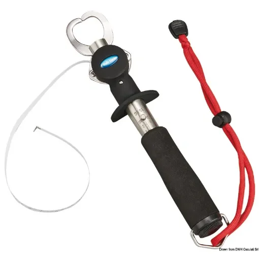 Fish Catcher product image